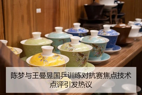 陈梦与王曼昱国乒训练对抗赛焦点技术点评引发热议