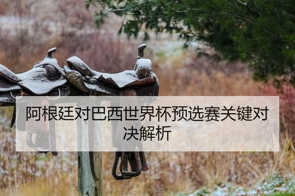 阿根廷对巴西世界杯预选赛关键对决解析